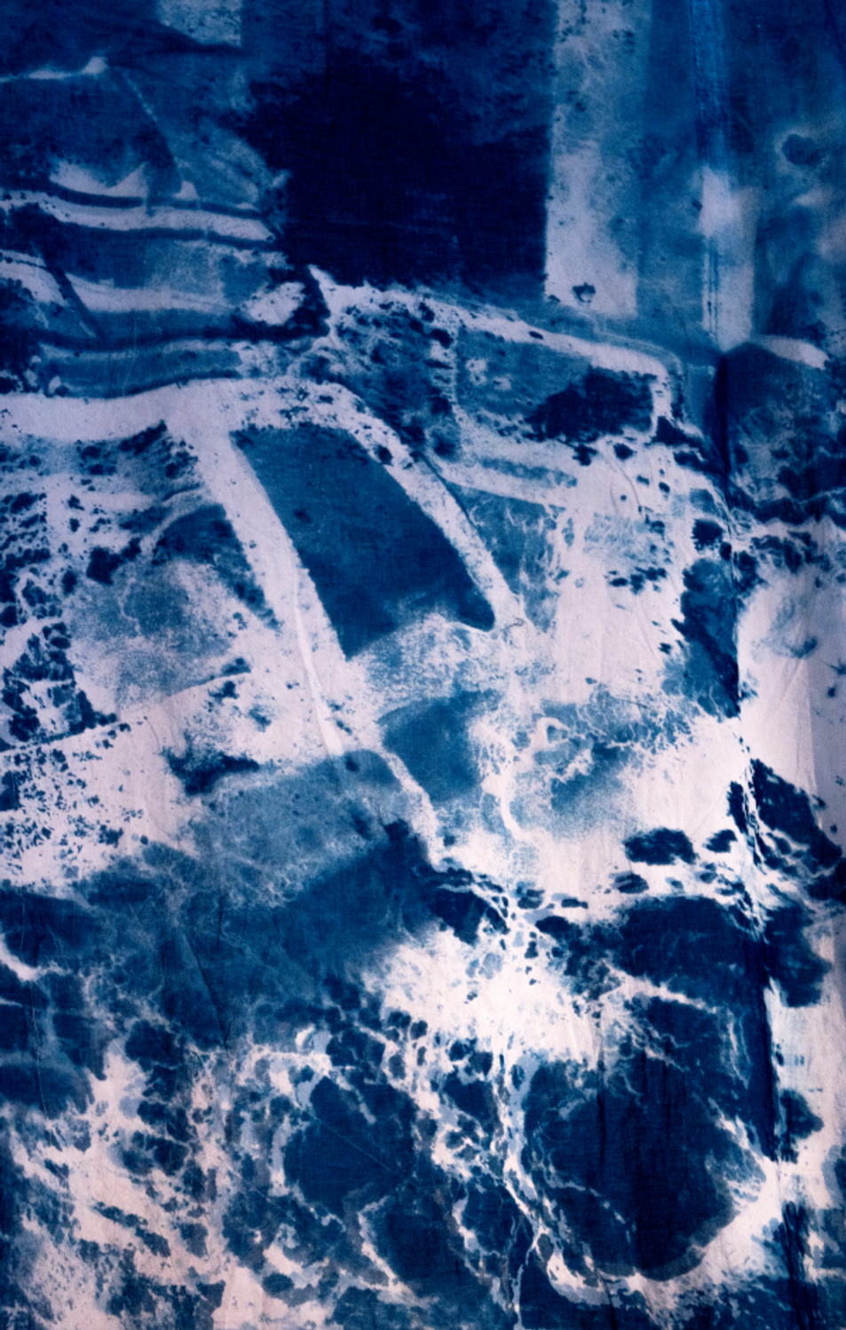 Détail de l'oeuvre "Cyanotype garnd format" de Maëlle Bléteau