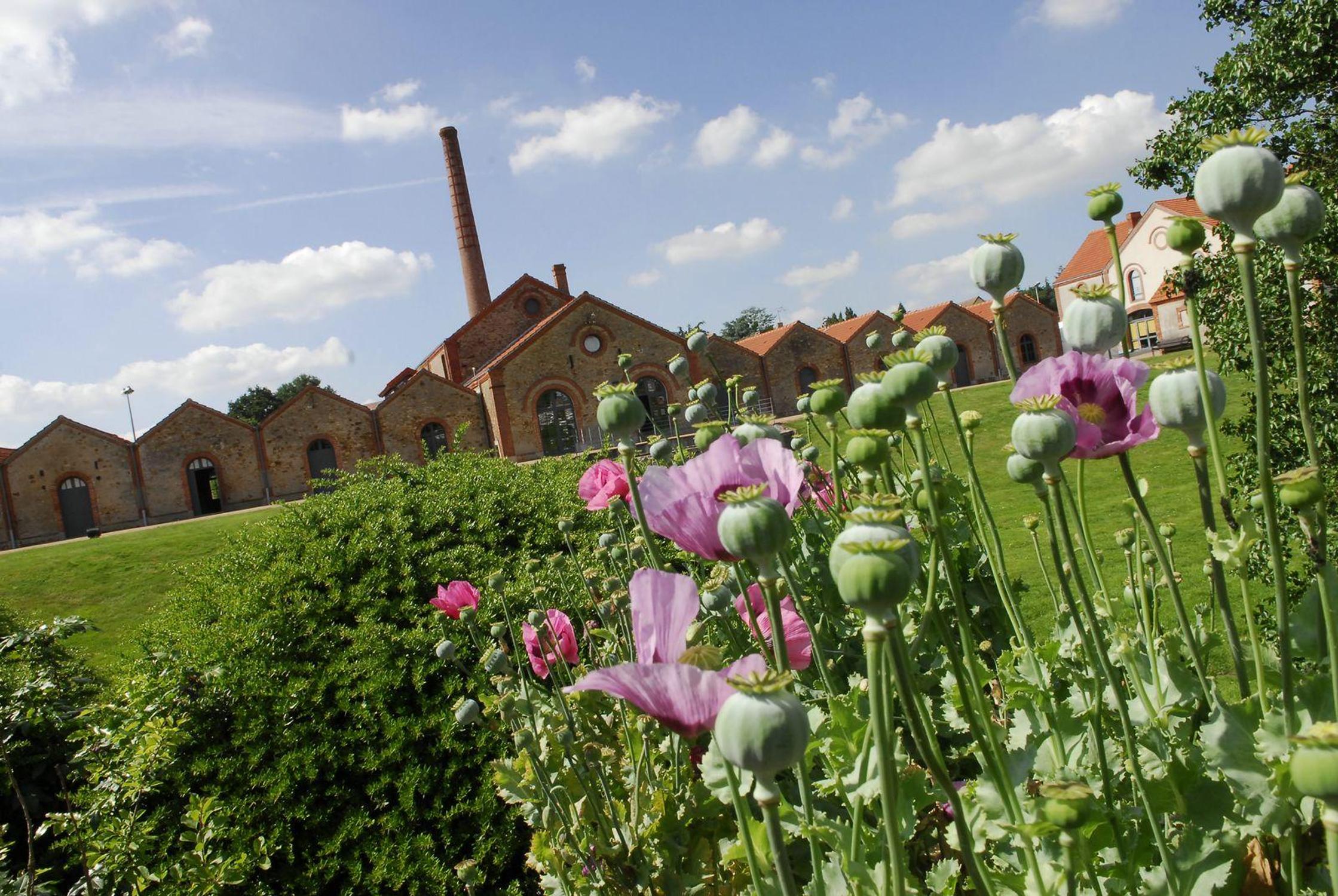 Photographie du jardin du musée