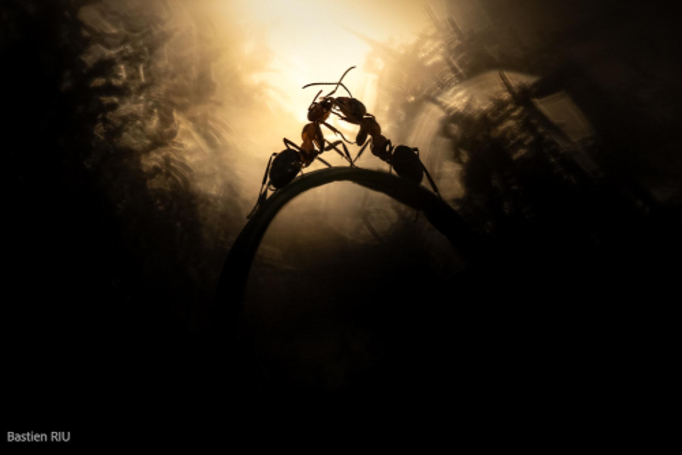 Photographie de Bastien Riu