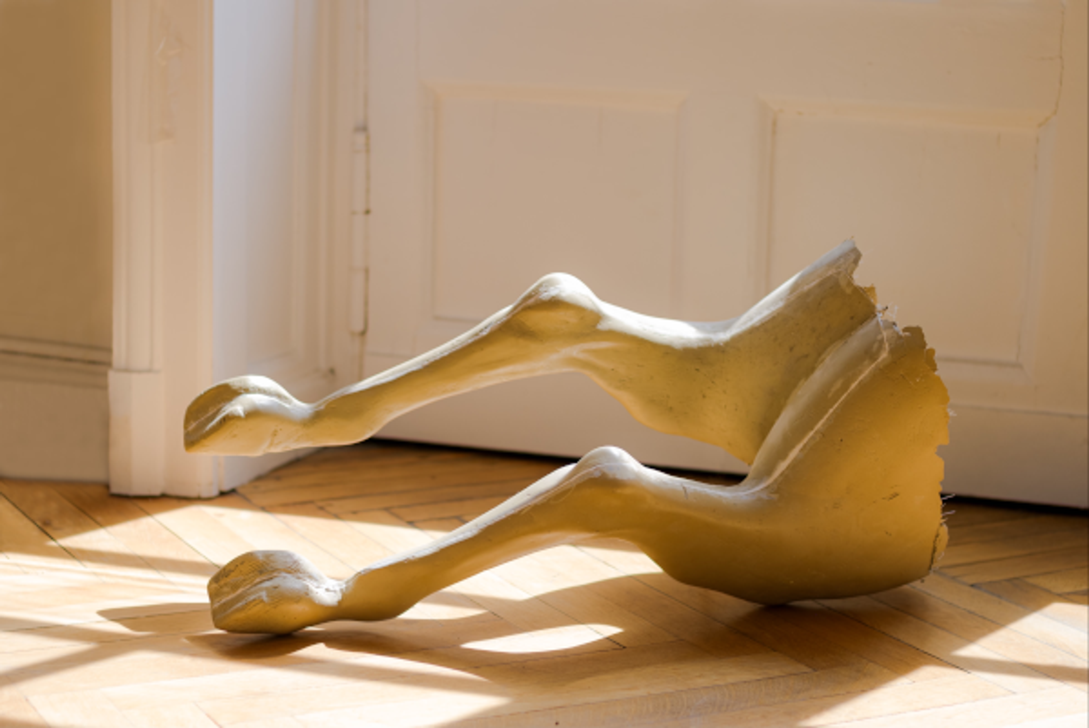Vude détail de l'oeuvre "Écorché" d'Anne Lebréquer